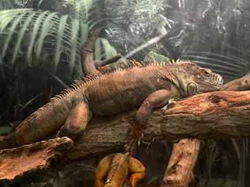 神戸どうぶつ王国に投稿された画像（2023/9/17）