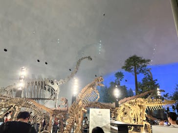 福井県立恐竜博物館に投稿された画像（2023/9/17）