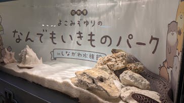 しながわ水族館に投稿された画像（2023/9/17）