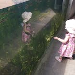 環境水族館アクアマリンふくしまに投稿された画像（2023/9/17）