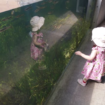 環境水族館アクアマリンふくしまに投稿された画像（2023/9/17）