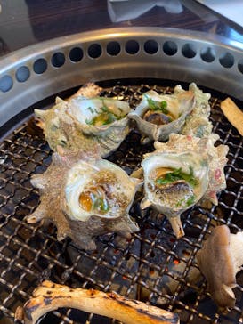 鳥羽　海鮮料理　屋形船　おきたに投稿された画像（2023/9/17）