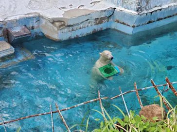 天王寺動物園に投稿された画像（2023/9/17）