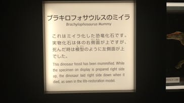 福井県立恐竜博物館に投稿された画像（2023/9/17）