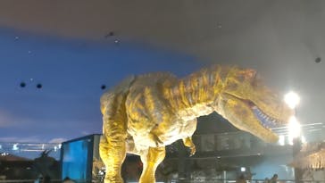 福井県立恐竜博物館に投稿された画像（2023/9/17）