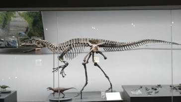 福井県立恐竜博物館に投稿された画像（2023/9/17）