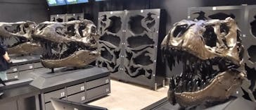 福井県立恐竜博物館に投稿された画像（2023/9/17）