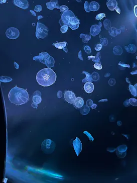 すみだ水族館に投稿された画像（2023/9/17）