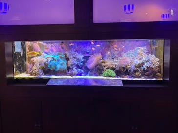 横浜開運水族館 フォーチュンアクアリウムに投稿された画像（2023/9/17）