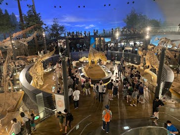 福井県立恐竜博物館に投稿された画像（2023/9/17）