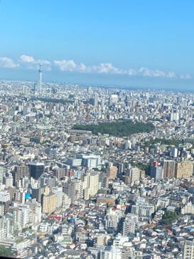 サンシャイン60展望台に投稿された画像（2023/9/17）