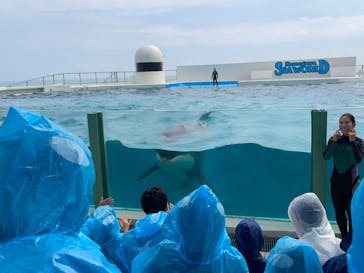 鴨川シーワールドに投稿された画像（2023/9/17）