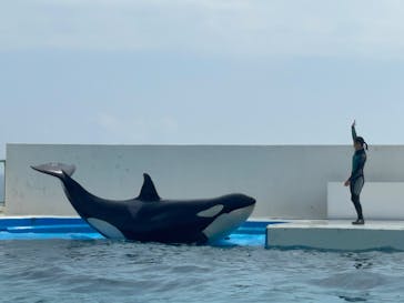 鴨川シーワールドに投稿された画像（2023/9/17）