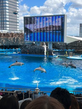 名古屋港水族館に投稿された画像（2023/9/17）