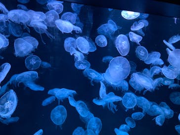 AOAO SAPPOROに投稿された画像（2023/9/17）