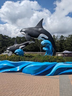 鴨川シーワールドに投稿された画像（2023/9/17）