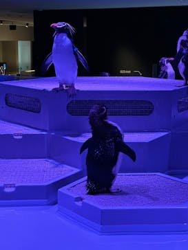 AOAO SAPPOROに投稿された画像（2023/9/17）