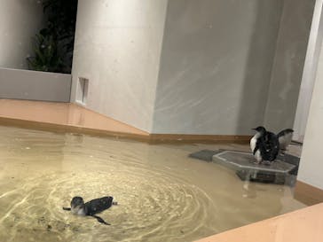 AOAO SAPPOROに投稿された画像（2023/9/17）