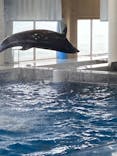 アクアワールド茨城県大洗水族館に投稿された画像（2023/9/17）