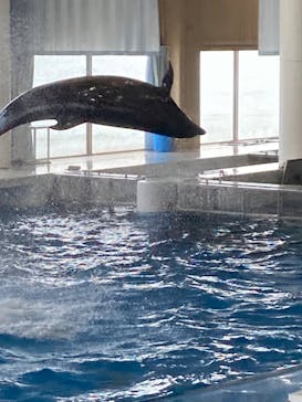 アクアワールド茨城県大洗水族館に投稿された画像（2023/9/17）