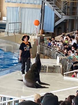 アクアワールド茨城県大洗水族館に投稿された画像（2023/9/17）