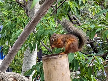 神戸どうぶつ王国に投稿された画像（2023/9/17）