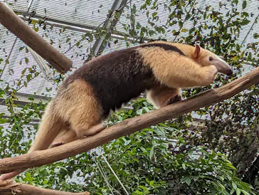 神戸どうぶつ王国に投稿された画像（2023/9/17）