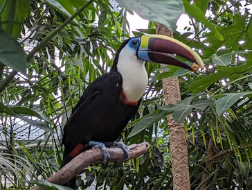 神戸どうぶつ王国に投稿された画像（2023/9/17）