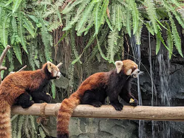 神戸どうぶつ王国に投稿された画像（2023/9/17）
