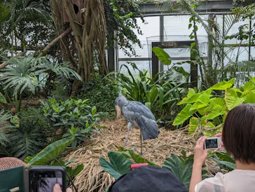 神戸どうぶつ王国に投稿された画像（2023/9/17）