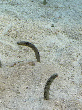 すみだ水族館に投稿された画像（2023/9/17）