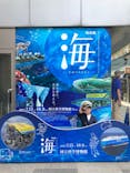 特別展「海　―生命のみなもと―」（国立科学博物館）に投稿された画像（2023/9/17）