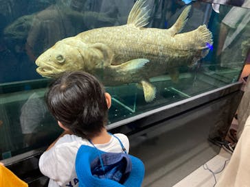 特別展「海　―生命のみなもと―」（国立科学博物館）に投稿された画像（2023/9/17）