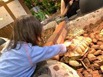 NARA IKIMONO MUSEUMに投稿された画像（2023/9/17）