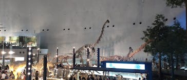 福井県立恐竜博物館に投稿された画像（2023/9/17）