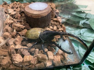 千葉こどもの国 キッズダムに投稿された画像（2023/9/17）