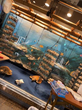 三重県真珠に投稿された画像（2023/9/17）