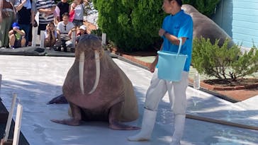 南知多ビーチランド＆南知多おもちゃ王国に投稿された画像（2023/9/17）