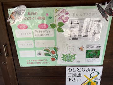 神戸六甲ミーツ・アート2025 beyondに投稿された画像（2023/9/17）