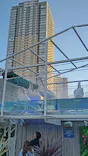 サンシャイン水族館に投稿された画像（2023/9/17）
