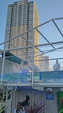 サンシャイン水族館に投稿された画像（2023/9/17）