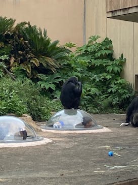 日立市かみね動物園に投稿された画像（2023/9/17）