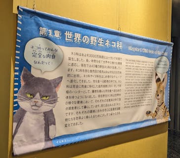 特別展「ネコ」 ～にゃんと！クールなハンターたち～に投稿された画像（2023/9/17）
