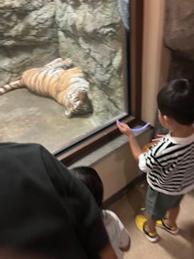 静岡市立日本平動物園に投稿された画像（2023/9/17）