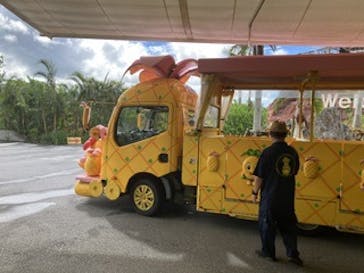 ナゴパイナップルパークに投稿された画像（2023/9/17）