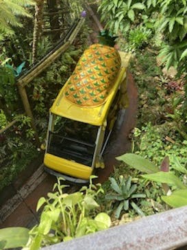 ナゴパイナップルパークに投稿された画像（2023/9/17）