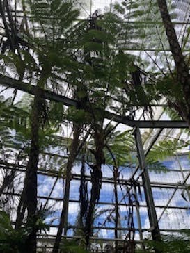 ナゴパイナップルパークに投稿された画像（2023/9/17）