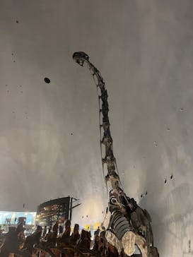 福井県立恐竜博物館に投稿された画像（2023/9/17）