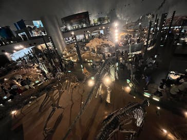 福井県立恐竜博物館に投稿された画像（2023/9/17）