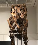 大阪市立自然史博物館に投稿された画像（2023/9/17）